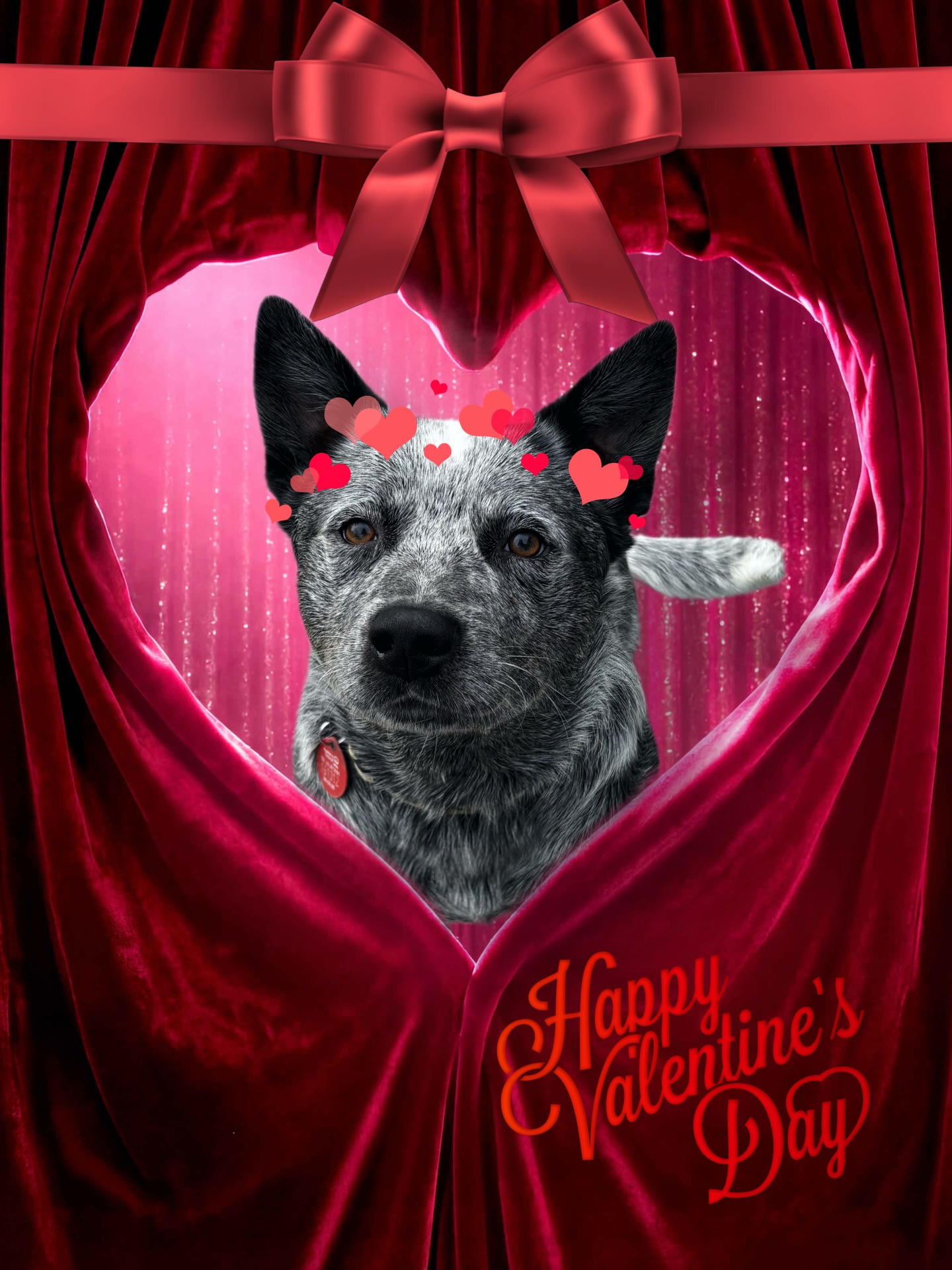Just have to spread some puppy love on Valentine's Day #valentinesday #boardingkennel #daycare #team...