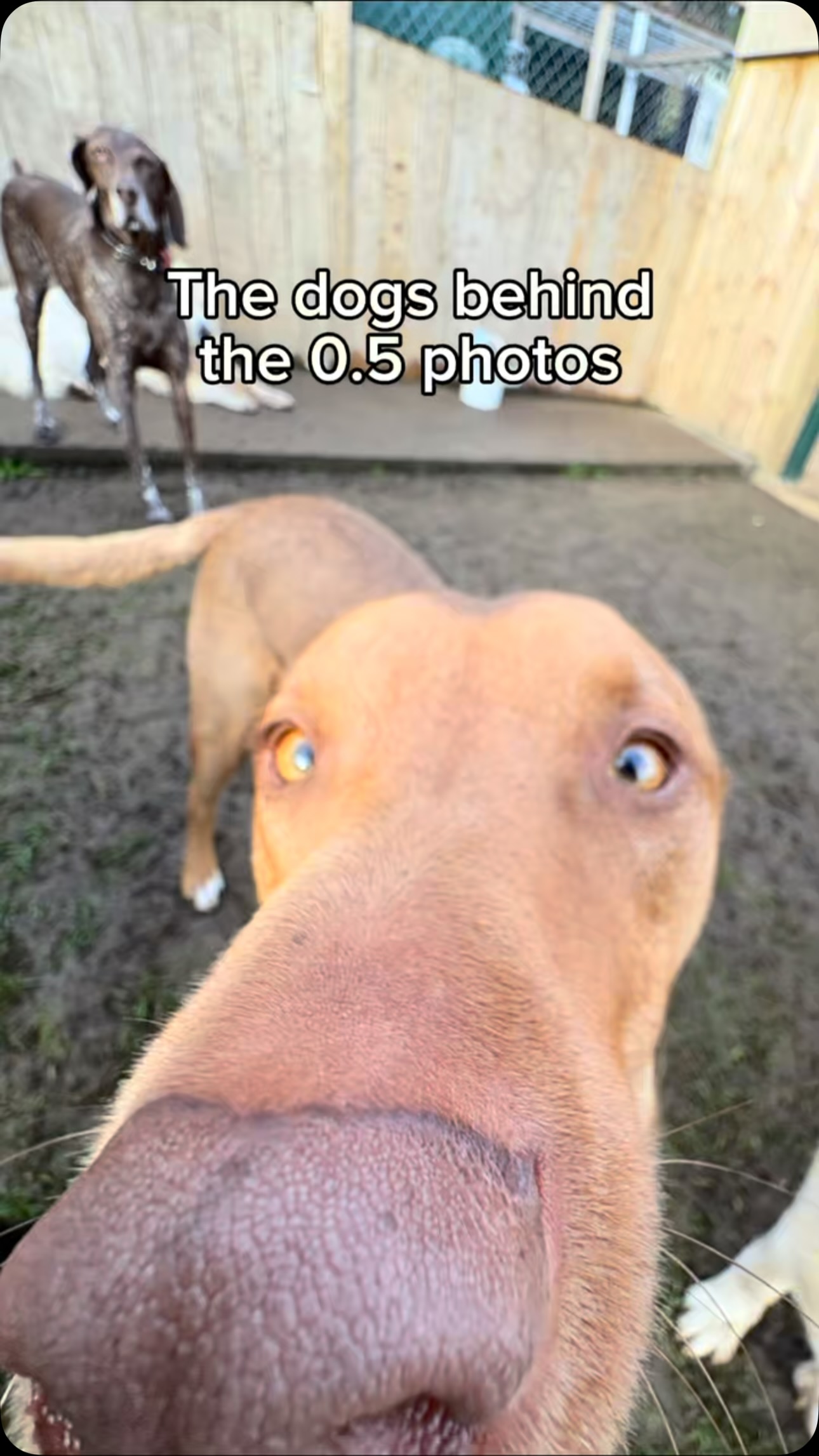Ever wonder who you're actually looking at with the goofy long nose photos?! Well I promise they're ...