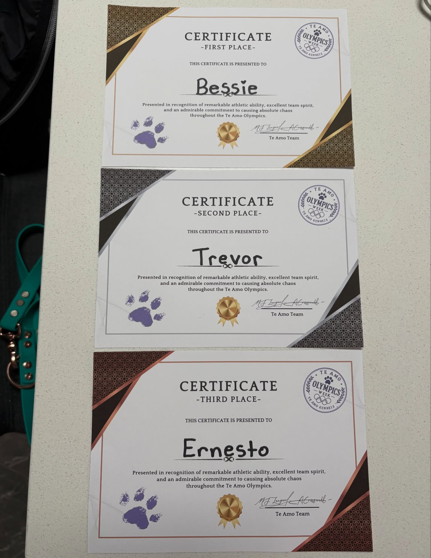 No we weren't kidding when we said we made certificates... they're actually a thing, and the first t...