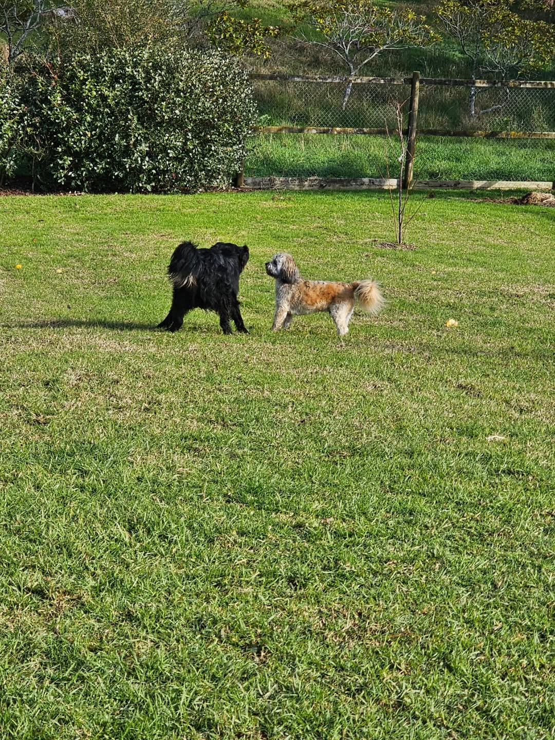 A chill Monday morning with these crazy kids. So good to get the sting out of their tail before brea...
