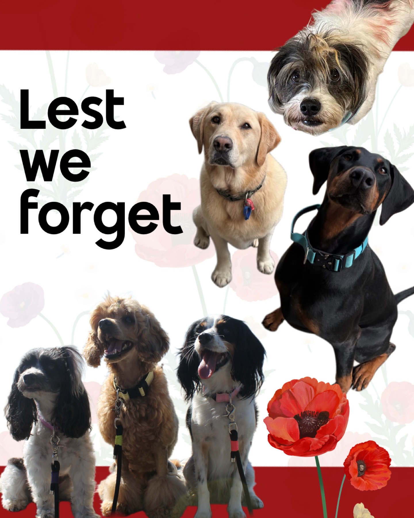 Lest we forget Over the ANZAC weekend, we took a moment to reflect and remember. Alongside that, it ...