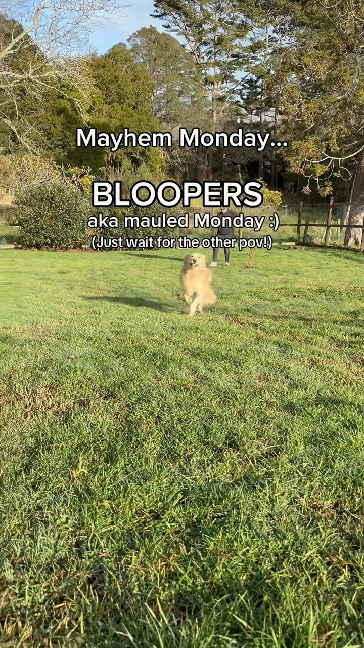 Mayhem Monday bloopers… aka Mauled Monday I was body slammed. I was chomped. I was stood on. I saw m...