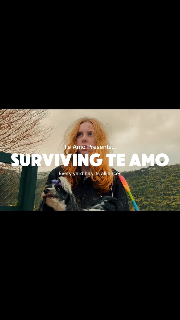 Netflix never called… …so we made our own reality series. Welcome to Surviving Te Amo. 10 dogs. 3 st...