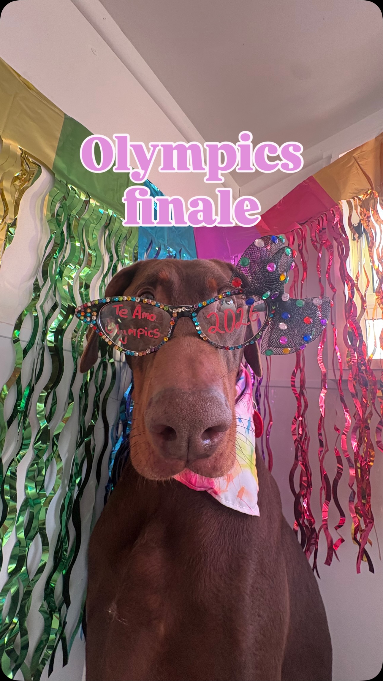 TE AMO OLYMPICS 2026 And just like that… the Te Amo Olympics comes to an end One week. Five events. ...