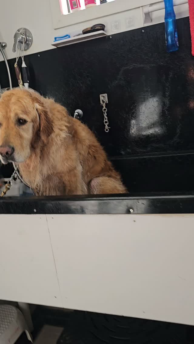 I got a bit of attitude from the staff this morning. Apparently, a morning mud bath did not make Ale...