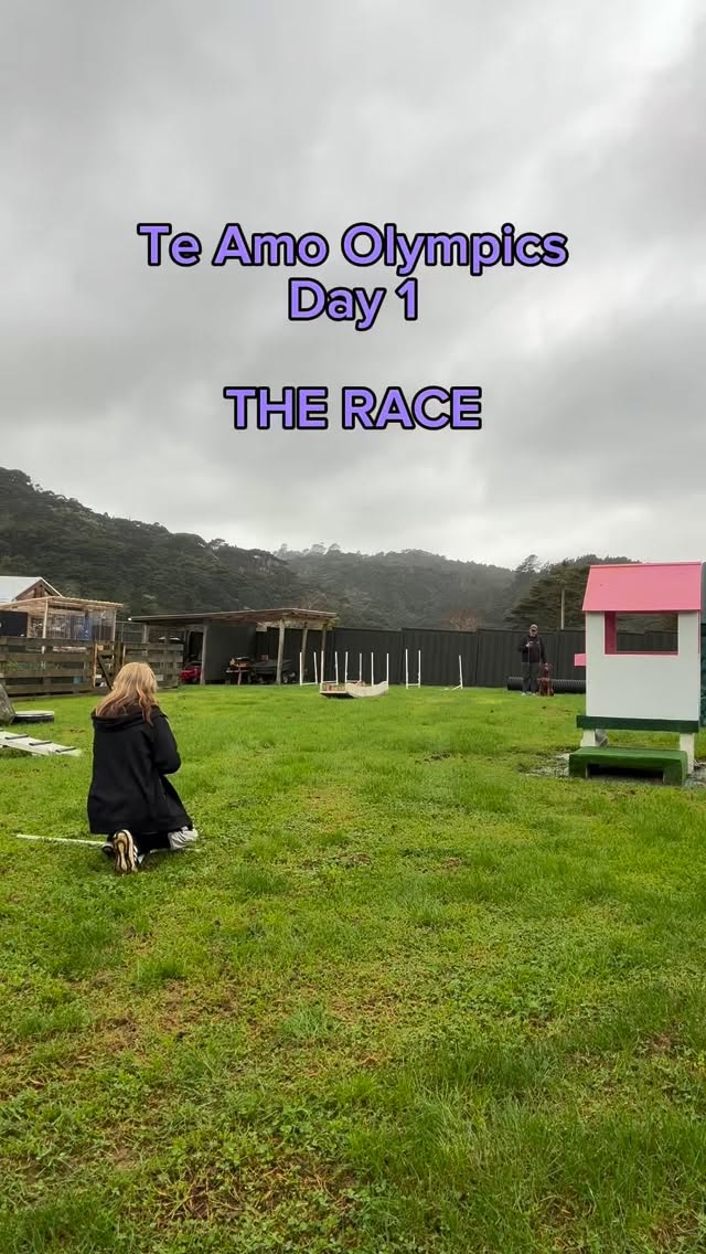 TE AMO OLYMPICS - DAY 1 RESULTS ARE IN The Race is officially complete. After fierce competition, qu...